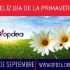 Opdea